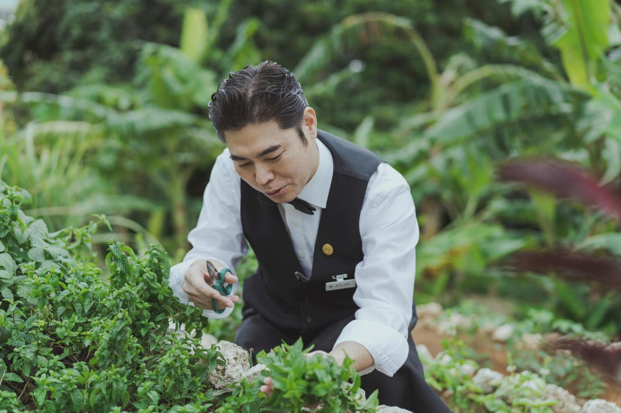 โรงแรม เอ็ม เวลเนส คุราชิโนะ ฮักโกะ ไลฟ์สไตล์ รีสอร์ต Okinawa